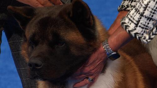 九游娱乐官方网站